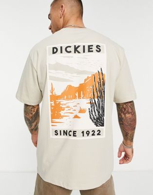 Dickies North Plains t-shirt in beige Exclusive at ASOS