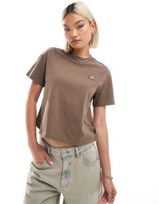 Dickies Oakport boxy cropped t-shirt in brown