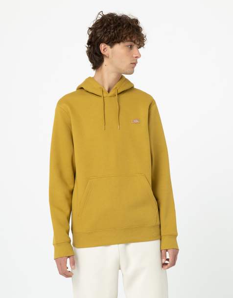 Dickies - Oakport - Felpa con cappuccio marrone - view 1