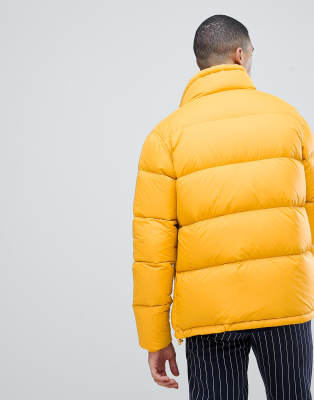 dickies jacket yellow