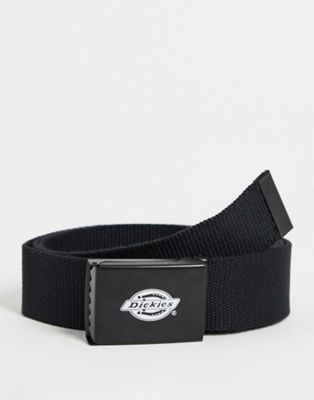 Dickies Orcutt belt in black
