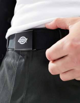 Dickies Dickies orcutt belt in black