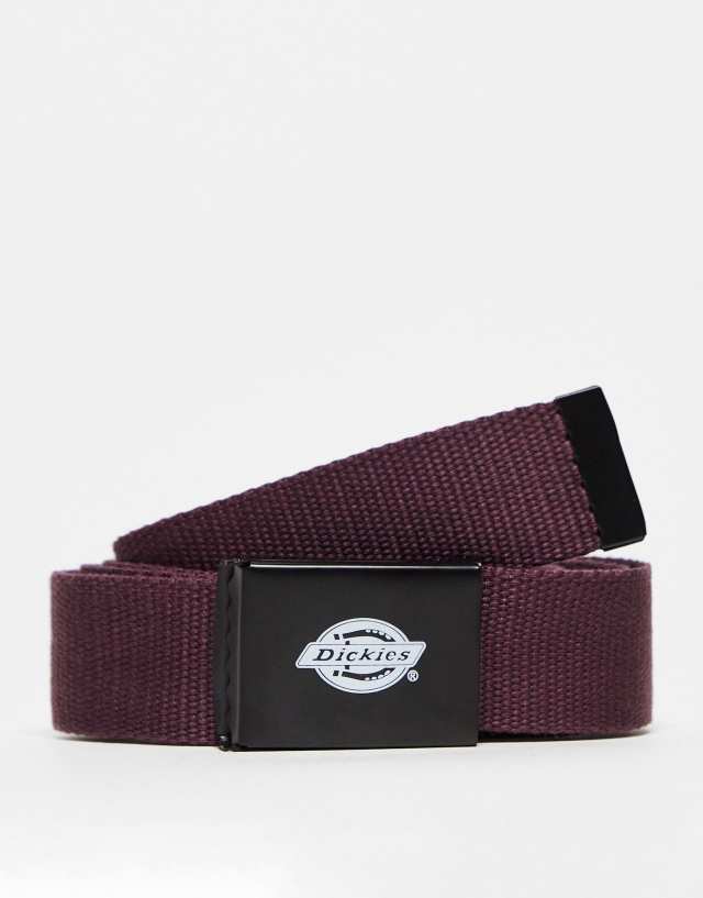 Dickies Orcutt belt in burgundy