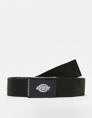 Dickies Dickies Orcutt belt in dark green