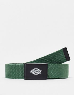 Dickies Orcutt belt in green