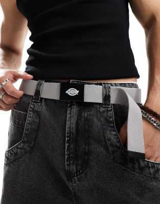 Dickies Orcutt belt in grey