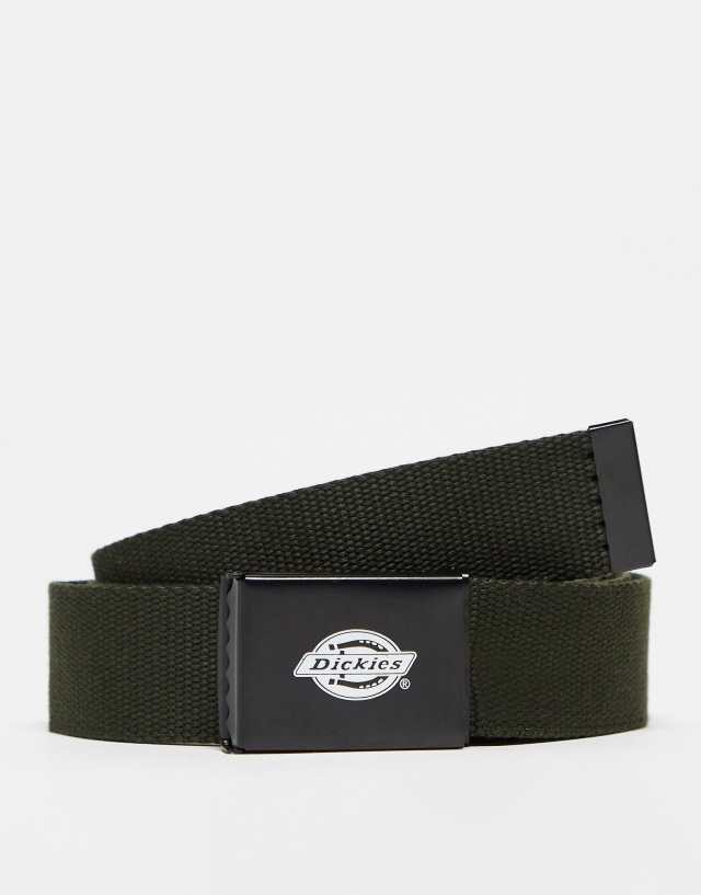 Dickies Orcutt belt in khaki