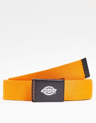 Dickies Orcutt belt in orange