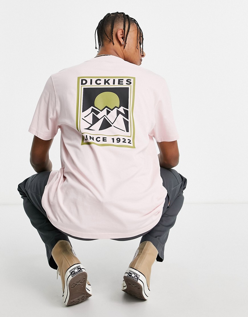 Novita Rosa uomo Dickies - Pacific - T-shirt a maniche corte rosa chiaro