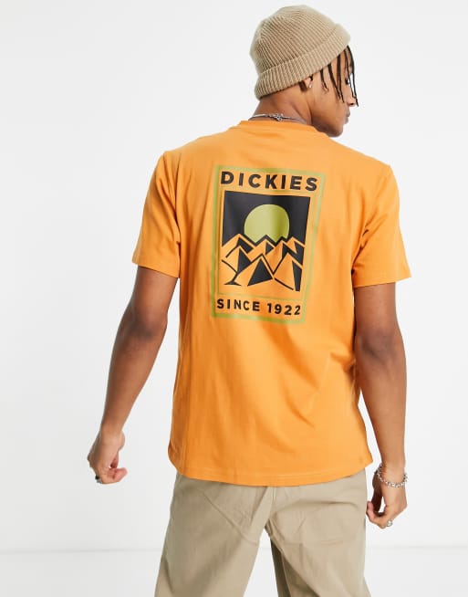 dickies t shirt orange