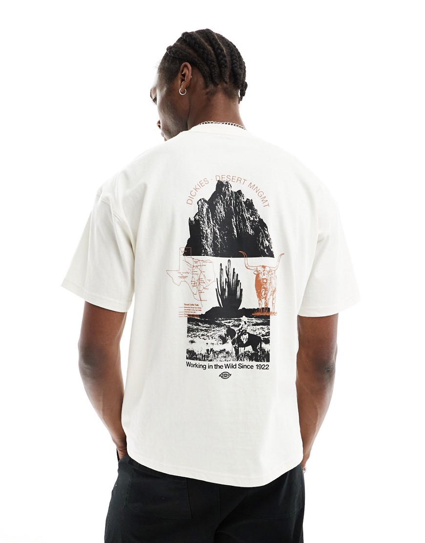 Dickies pearisburg back print t-shirt in off white