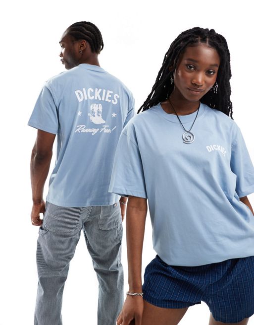 Dickies Petersburg short sleeve t-shirt in blue