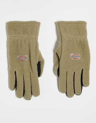 Dickies Dickies pinesdale gloves in green