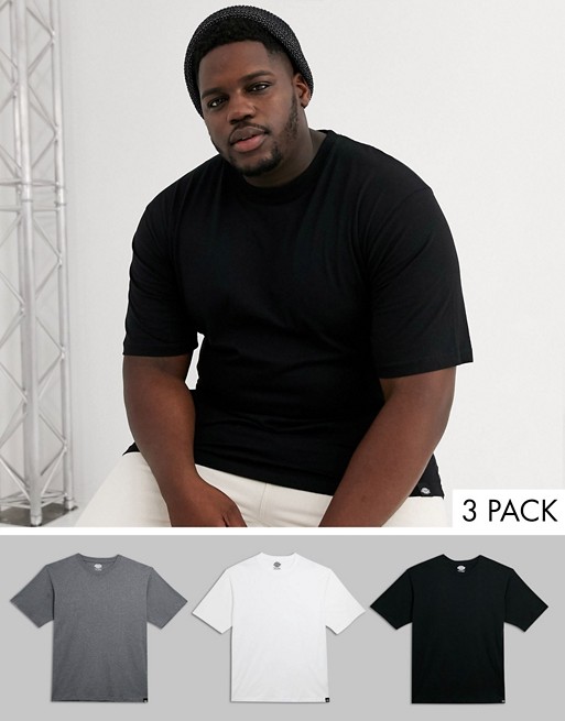 Dickies Plus 3 pack t-shirts in multi colour
