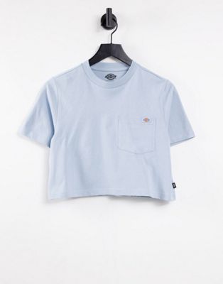Dickies Porterdale cropped t-shirt in light blue
