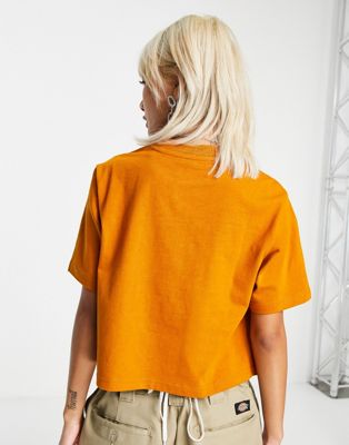 Femme Dickies - Porterdale - T-shirt crop top - Rouille