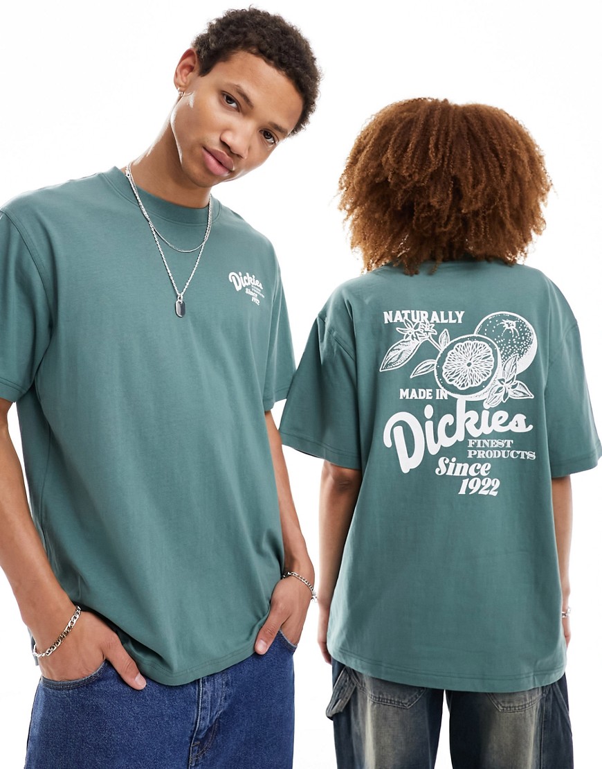 Dickies raven back print t-shirt in dark green