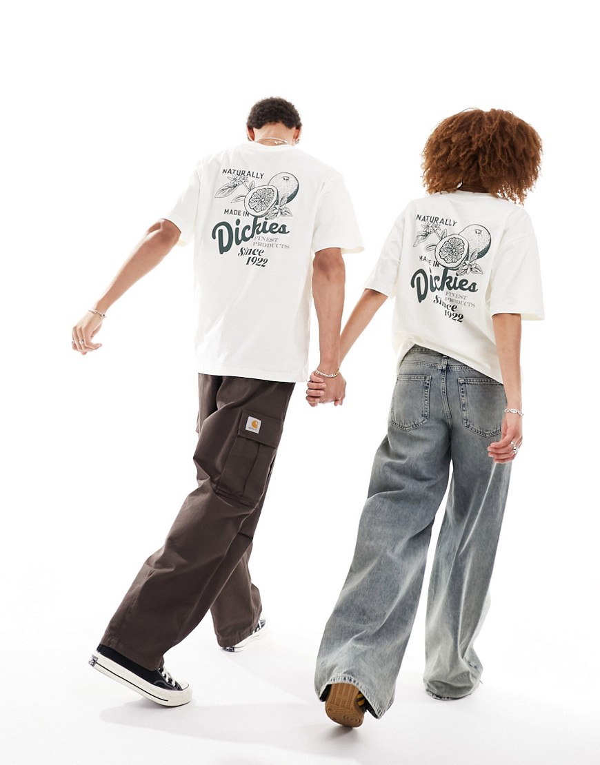 Dickies raven back print t-shirt in off white