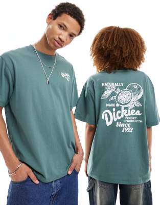 Dickies - Raven - T-Shirt in Dunkelgrün mit Rückenprint