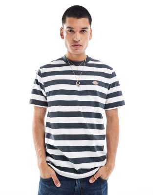 Dickies Dickies river grove striped t-shirt in dark grey and white- exclusive to asos