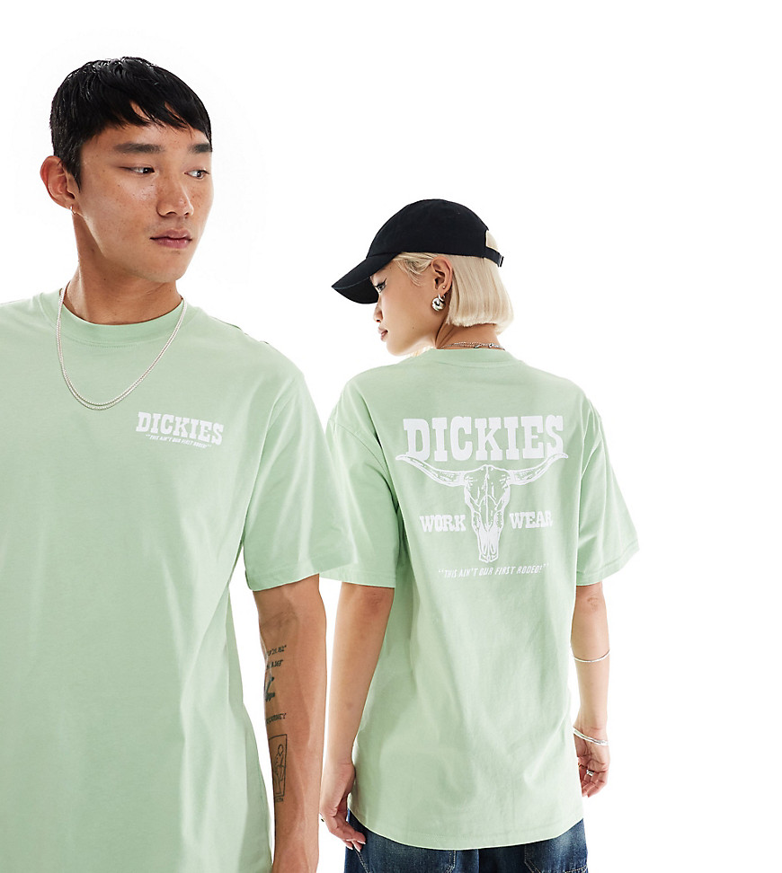 Dickies rodeo short sleeve back print t-shirt in light green- exclusive to asos