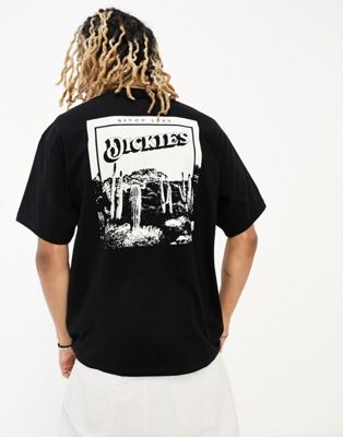 Dickies rose lodge mountain back print t-shirt in black - ASOS Price Checker