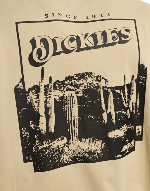 Dickies - Rose Lodge - T-shirt avec imprimé paysage au dos - Kaki, 2 de 4