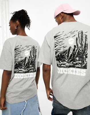 Dickies rural retreat mountain back print t-shirt in grey marl - ASOS Price Checker