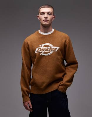 Dickies Dickies ruston knitted jumper with large front horsehoe logo in brown tan