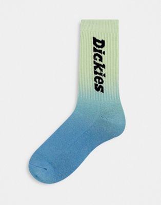 Dickies Seatac socks in green/blue
