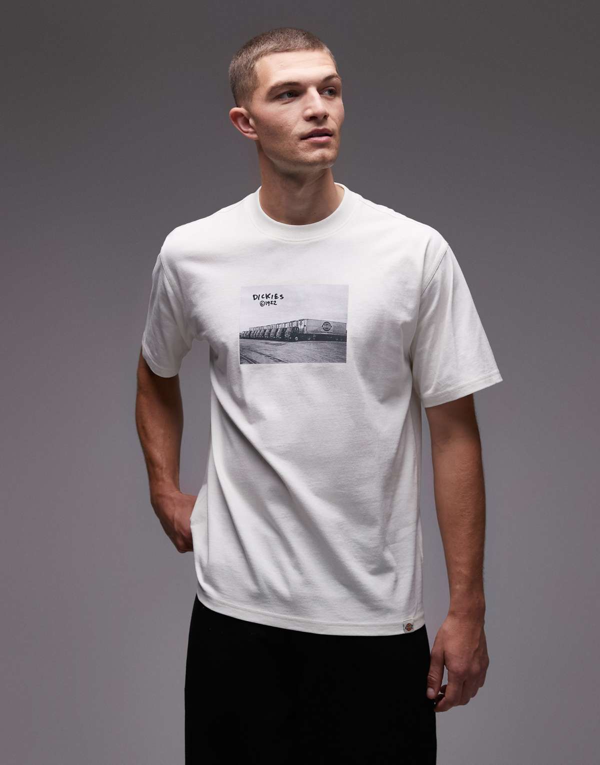 Dickies sevier t-shirt with front photo print in off white