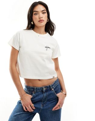 Dickies Short Sleeve Herndon T-shirt In Cream-white