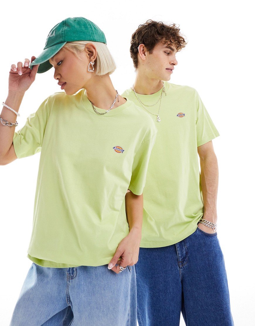 Dickies short sleeve mapleton t-shirt in pale green