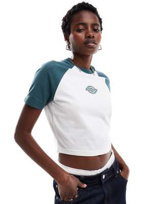 Dickies Sodaville short sleeve cropped t-shirt in dark green and white -