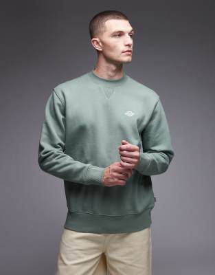 Dickies Dickies summerdale heavyweight oversized sweatshirt in light green