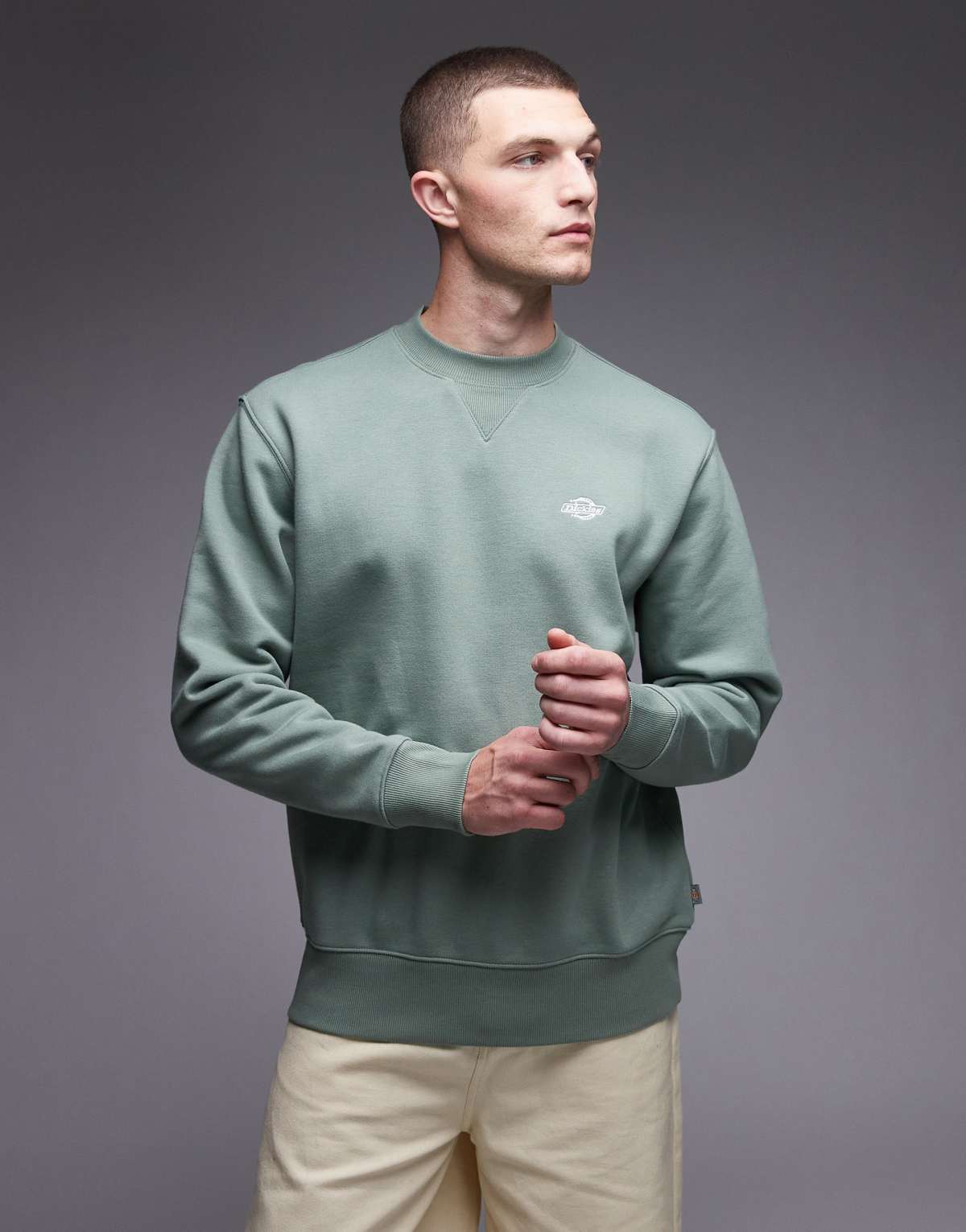 Dickies summerdale heavyweight oversized sweatshirt in light green