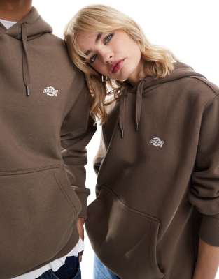 Dickies Dickies summerdale hoodie in brown