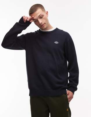 Dickies Dickies summerdale knitted jumper in dark navy