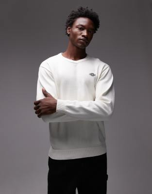Dickies Dickies summerdale knitted jumper in off white