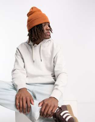 Dickies summerdale premium oversized hoodie in light grey