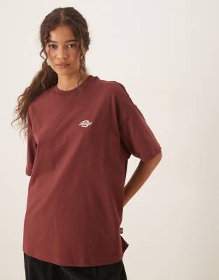 Dickies Summerdale short sleeve t-shirt in medium brown
