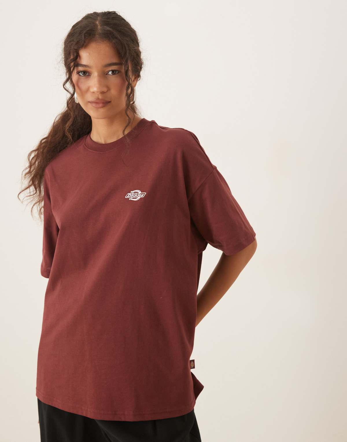 Dickies Summerdale short sleeve t-shirt in medium brown