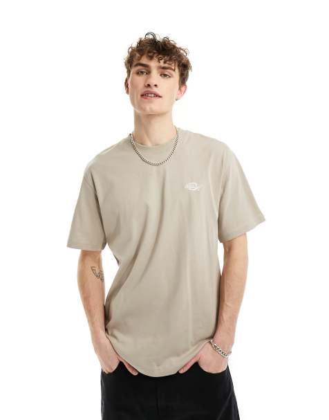 Dickies summerdale short sleeve t-shirt in sand