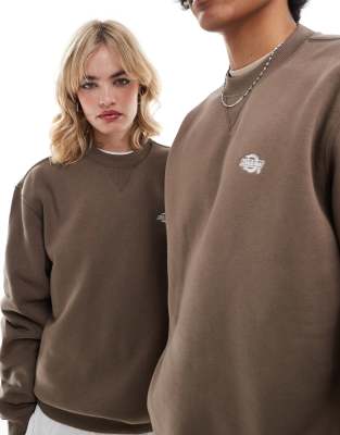 Dickies Dickies summerdale sweatshirt in brown
