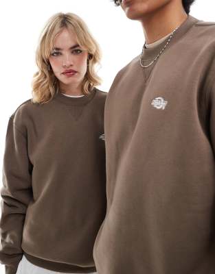 Dickies Summerdale sweatshirt in brown