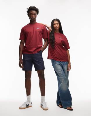Dickies - T-Shirt in Dunkelrot mit Flaggenlogo