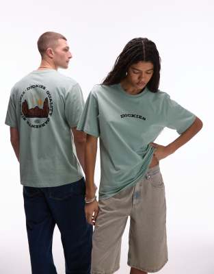 Dickies - T-Shirt in Hellgrün mit Outdoor-Rückenprint