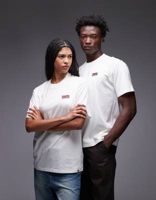 Dickies - T-Shirt in Wollweiß mit Flaggenlogo