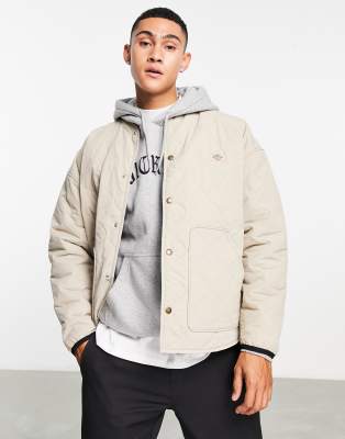 Dickies Thorsby Liner jacket in beige