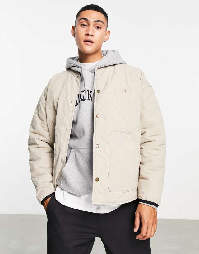 Dickies Thorsby Liner jacket in beige